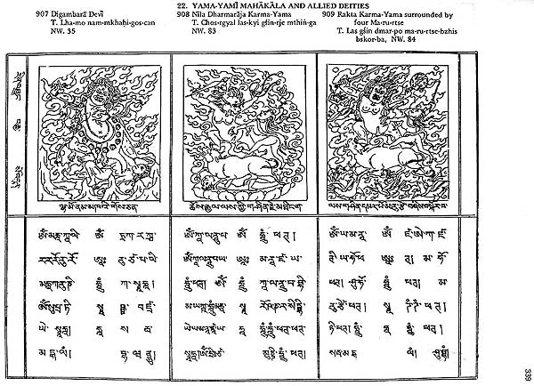 Buddhist Iconography (Compact Edition) - Retail Maharaj