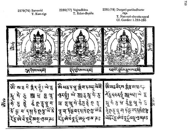 Buddhist Iconography (Compact Edition) - Retail Maharaj