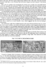 Candi Mendut - Womb of the Tathagata - Retail Maharaj