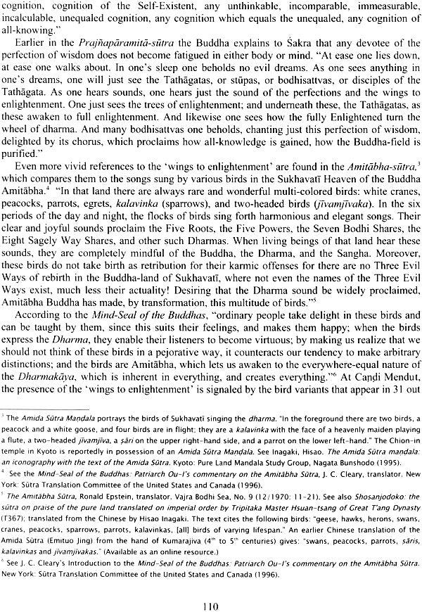 Candi Mendut - Womb of the Tathagata - Retail Maharaj