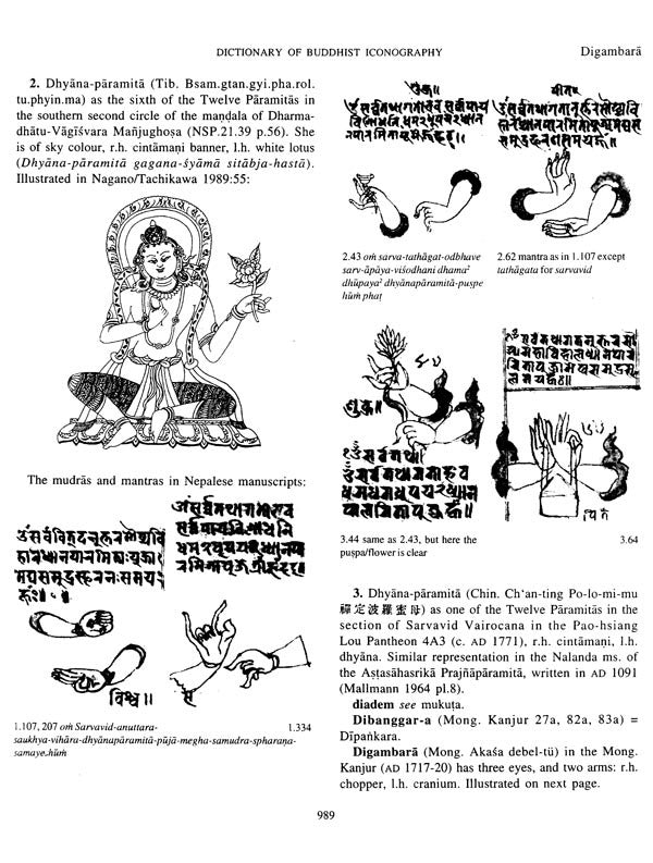 Dictionary of Buddhist Iconography: Volume-4 (Dhyana-paramita - Gzuns.las.byun.bahi lha.mo Nor.rgyun.ma) - Retail Maharaj