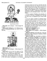 Dictionary of Buddhist Iconography: Volume-5 (Haakushu - Jyotisprabha ? Buddha) - Retail Maharaj
