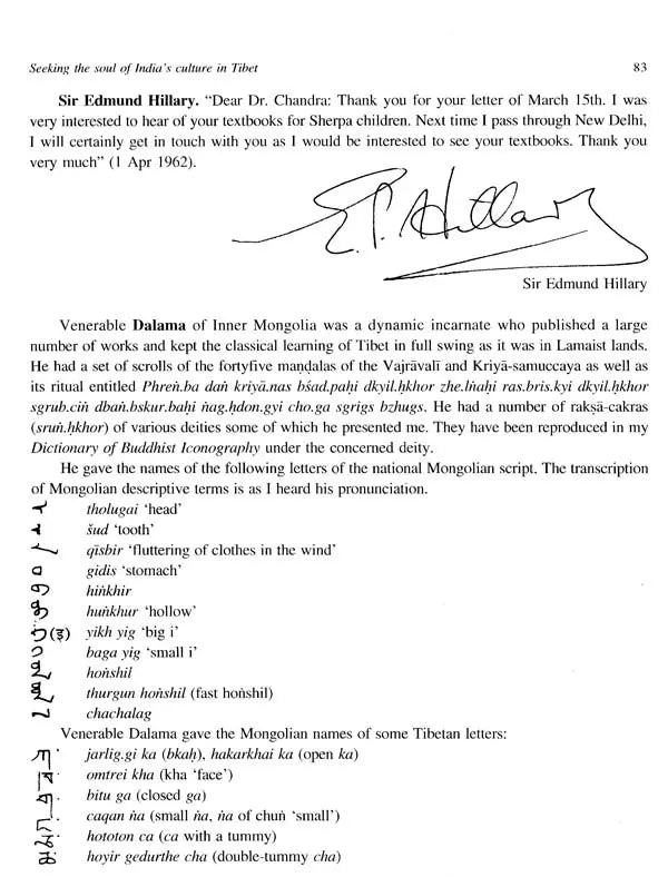 The Charisma of Tibet - Retail Maharaj