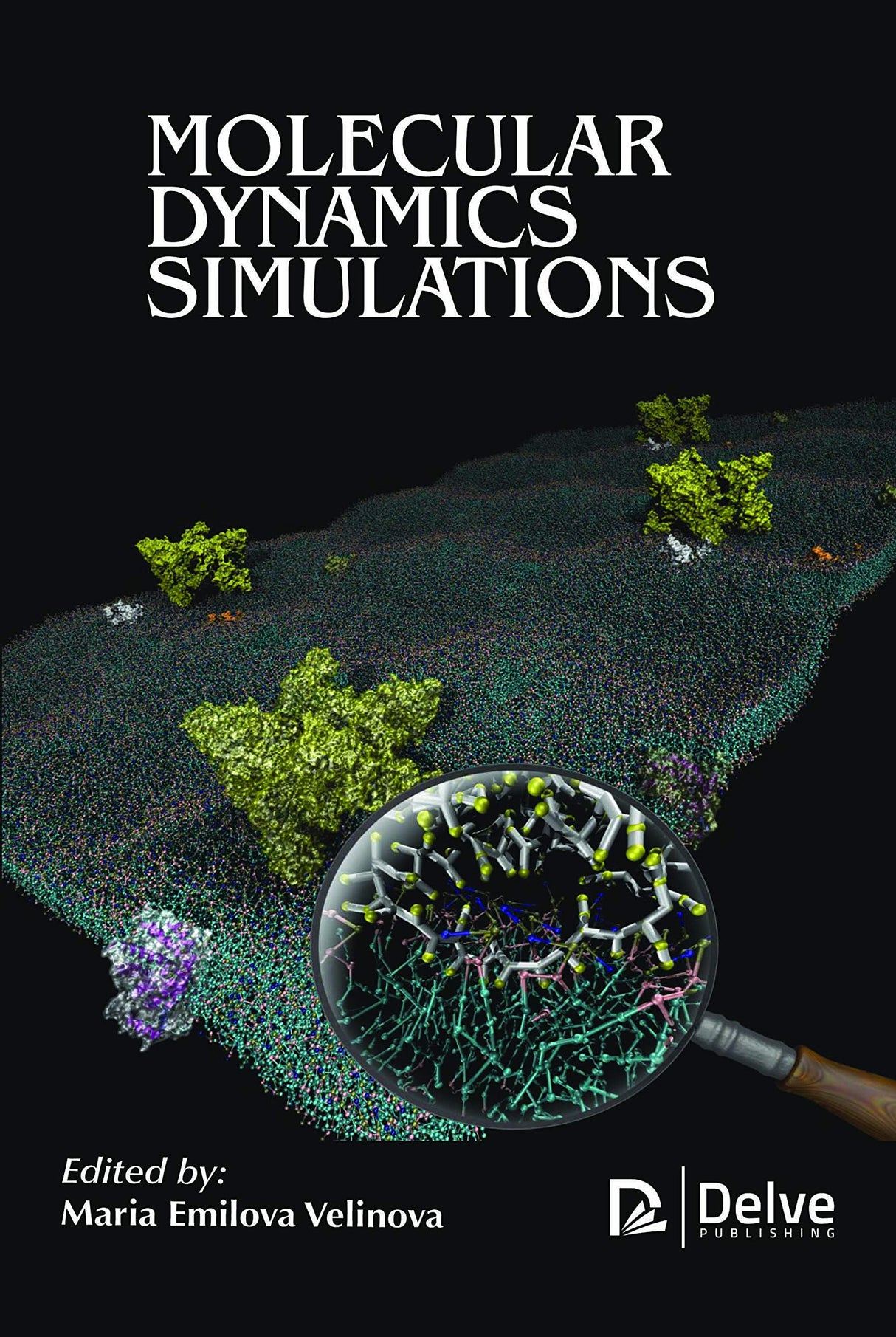 Molecular Dynamics Simulations - Retail Maharaj