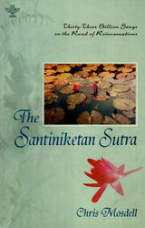 The Santiniketan Sutra - Retail Maharaj