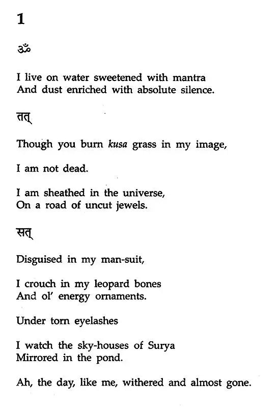 The Santiniketan Sutra - Retail Maharaj