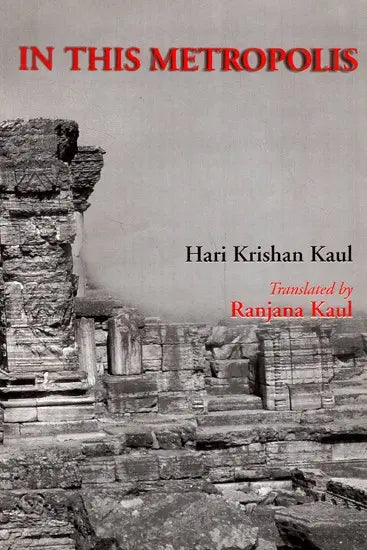 In This Metropolis - Retail Maharaj