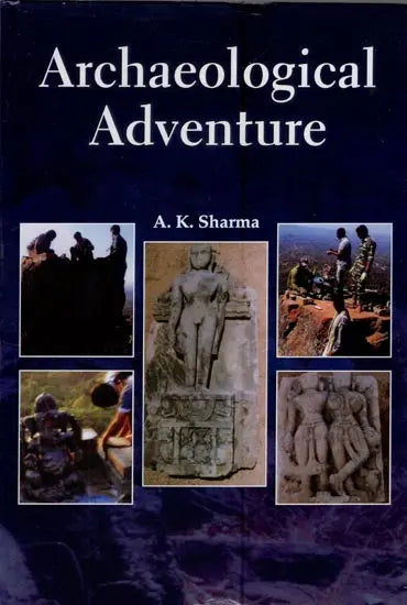 Archaeological Adventure - Retail Maharaj