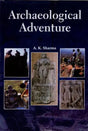Archaeological Adventure - Retail Maharaj