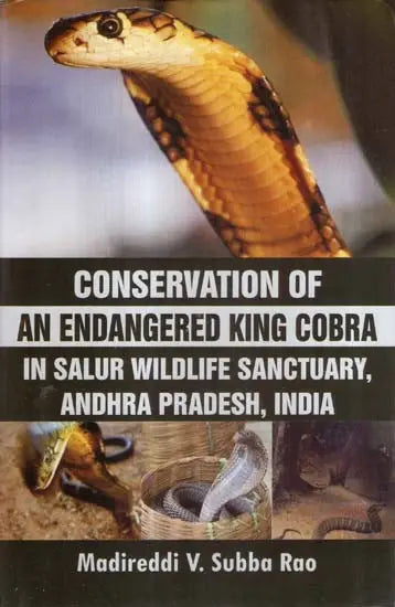 Conservation of An Endangered King Cobra In Salur Wildlife Sanctuary - Retail Maharaj