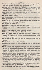 Dictionary of Tribal Languages (Historico- Comparative) - Retail Maharaj