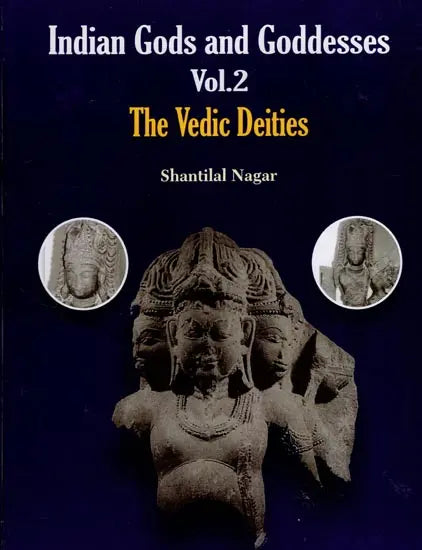 Indian Gods and Goddesses (The Vedic Deities) - Retail Maharaj