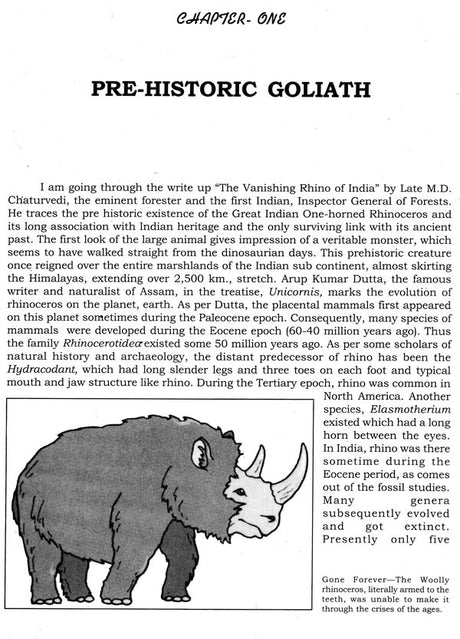 Kaziranga- The Rhind Land - Retail Maharaj