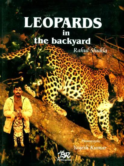 Leopards in the Backyard - Retail Maharaj