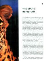 Leopards in the Backyard - Retail Maharaj