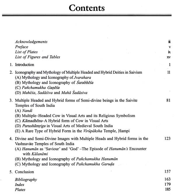 Multiple Headed and Hybrid Gods: In the Temples of South India - Retail Maharaj