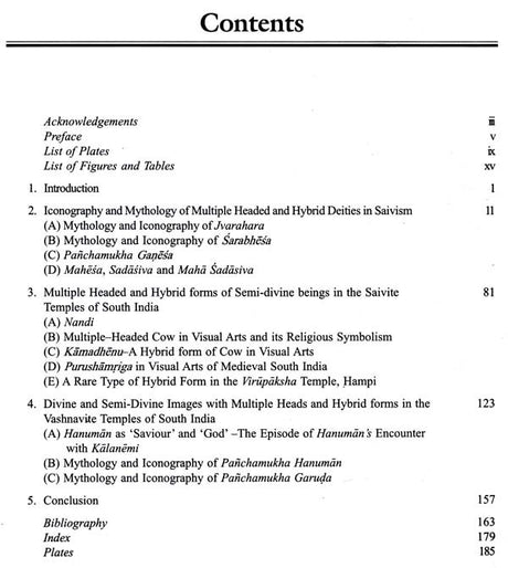 Multiple Headed and Hybrid Gods: In the Temples of South India - Retail Maharaj