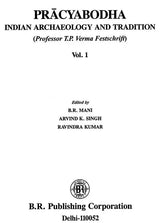 Pracyabodha - Indian Archaeology And Tradition (Professor T. P. Verma Festschrift) (Set of 2 Volumes) - Retail Maharaj