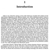 Prehistoric Archaeology In Central - Eastern India - Jonk River - Retail Maharaj