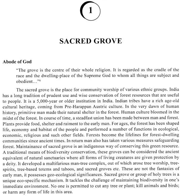 Sacred Grove of Santals - Abode of God And Ecological Saviour - Retail Maharaj