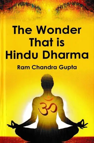 The Wonder That is Hindu Dharma - Retail Maharaj