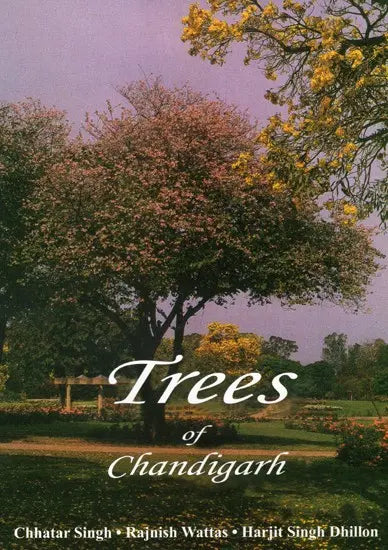 Trees of Chandigarh - Retail Maharaj