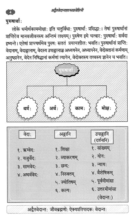 Advaita Vedanta Shastra Praveshini - Retail Maharaj