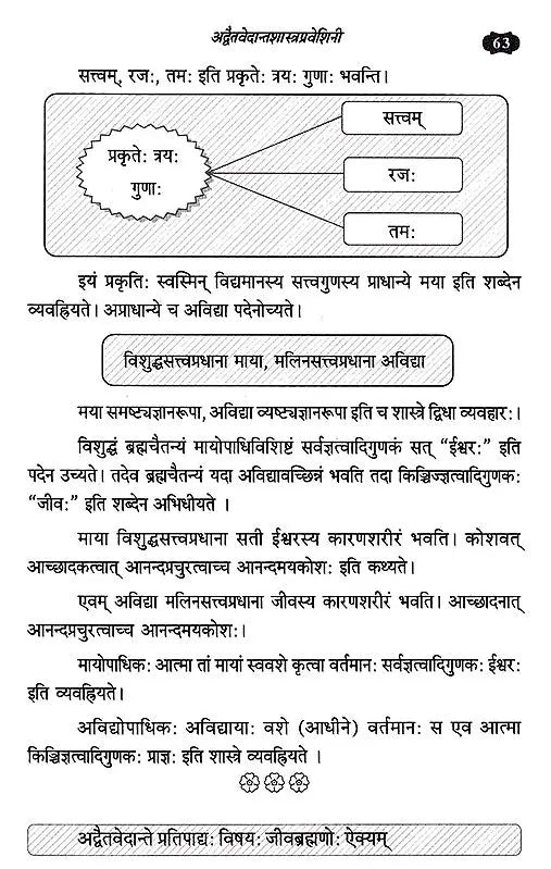 Advaita Vedanta Shastra Praveshini - Retail Maharaj