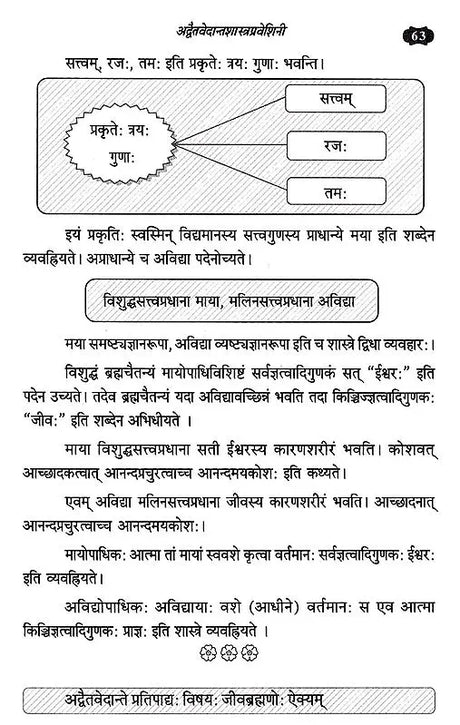 Advaita Vedanta Shastra Praveshini - Retail Maharaj