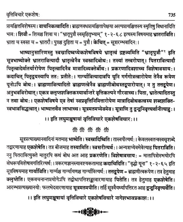 Vaiyakaran Siddhantlaghu Manjusha - Retail Maharaj