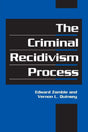 The Criminal Recidivism Process (Cambridge Studies in Criminology) - Retail Maharaj
