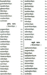 Shri Devi Rahasyam from the Rudrayamal Tantra (Set of 2 Volumes) - Retail Maharaj