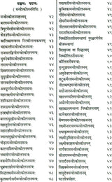 Shri Devi Rahasyam from the Rudrayamal Tantra (Set of 2 Volumes) - Retail Maharaj