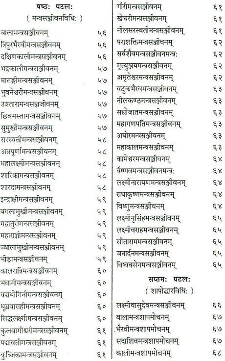 Shri Devi Rahasyam from the Rudrayamal Tantra (Set of 2 Volumes) - Retail Maharaj
