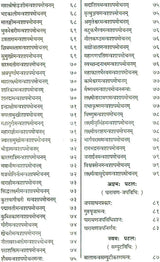 Shri Devi Rahasyam from the Rudrayamal Tantra (Set of 2 Volumes) - Retail Maharaj