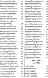 Shri Devi Rahasyam from the Rudrayamal Tantra (Set of 2 Volumes) - Retail Maharaj