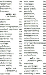 Shri Devi Rahasyam from the Rudrayamal Tantra (Set of 2 Volumes) - Retail Maharaj