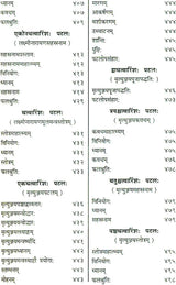 Shri Devi Rahasyam from the Rudrayamal Tantra (Set of 2 Volumes) - Retail Maharaj