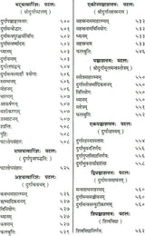 Shri Devi Rahasyam from the Rudrayamal Tantra (Set of 2 Volumes) - Retail Maharaj