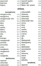 Shri Devi Rahasyam from the Rudrayamal Tantra (Set of 2 Volumes) - Retail Maharaj