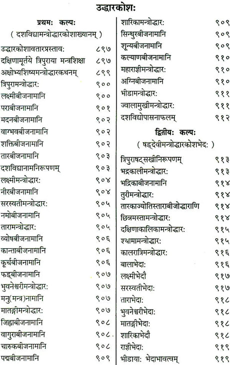Shri Devi Rahasyam from the Rudrayamal Tantra (Set of 2 Volumes) - Retail Maharaj