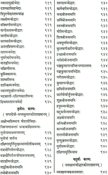 Shri Devi Rahasyam from the Rudrayamal Tantra (Set of 2 Volumes) - Retail Maharaj