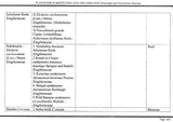 Plants for Substitution and Adulteration (Pratinidhi and Vyamishrita Dravya) - Retail Maharaj