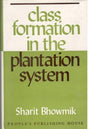 CLASS FORMATION IN THE PLANTATION SYSTEM - Retail Maharaj