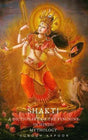 Shakti. A Dictionary of the Feminine in Hindu Mythology - Retail Maharaj