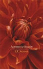 Avenues to Beauty: Eight Essays in Aesthetics - Retail Maharaj