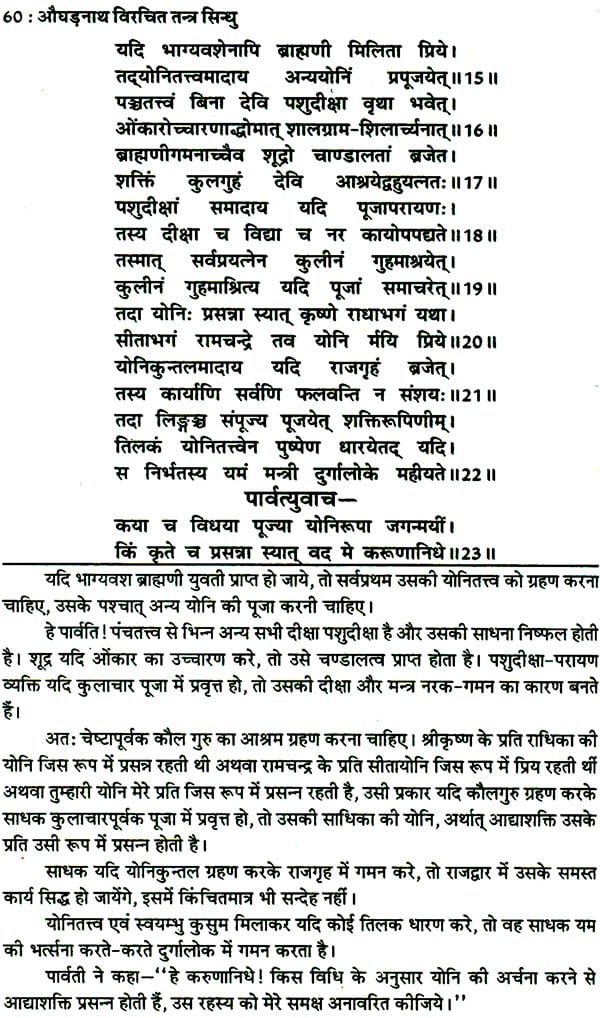 तंत्र सिंधु: Ocean of Tantra by Aughadanath - Retail Maharaj