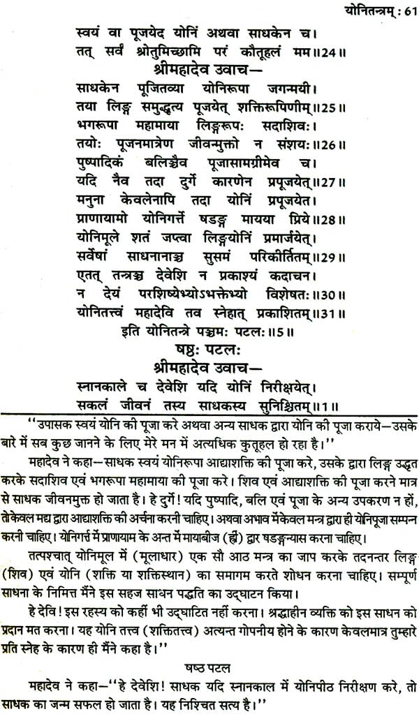 तंत्र सिंधु: Ocean of Tantra by Aughadanath - Retail Maharaj