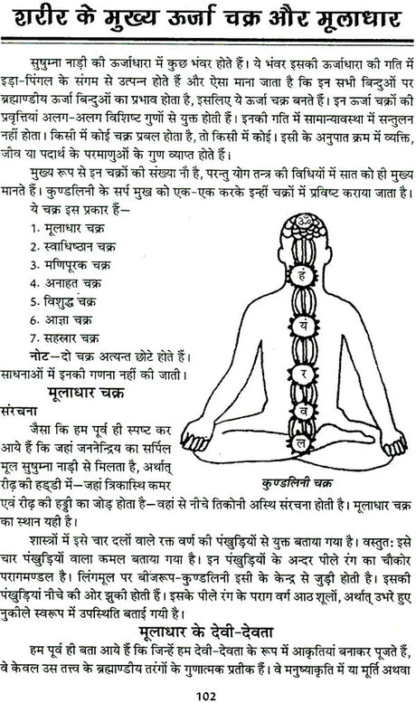 तंत्र सिंधु: Ocean of Tantra by Aughadanath - Retail Maharaj