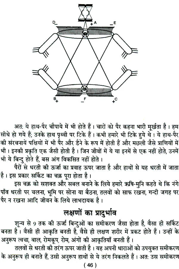 प्राचीन सामुद्रिक शास्त्र: Samudrik Shastra (Set of 2 Volumes) - Retail Maharaj